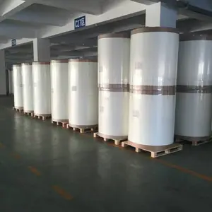 ������ά����ձ�����������ˮ���ĺͲ�ɫ���ಣ���ߵ�����̥��