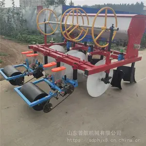 6行油菜播种机 株距可调免间苗芥菜播种机 垄上萝卜精播机厂家