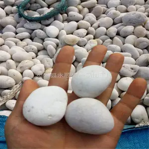 3-5���װ�ɫʯ��Ǯһ�֣�ʯ��ׯ��˳��ʯ������