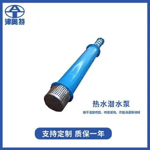 300QJR��ˮ���_***����ֵ��Ⱦ�Ǳˮ��_����̵�Ǳ��