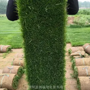 ���� �ļ����ƺ�ļ����� �����ֳ�ѡ�� ����������������