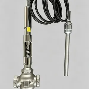 YZW-25自力式温控阀 DN25温度调节阀 螺纹不锈钢