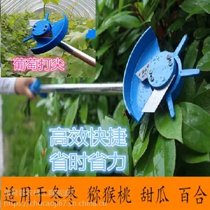 供应【电动打尖机】家乡牌冬枣葡萄打尖机
