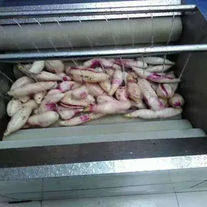 厂家直销果蔬去皮机 芋头毛辊清洗机
