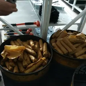 ���ػ���ʽ����ʮһͷ��ë�������