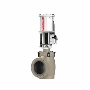 ����FLOWSERVEִ����