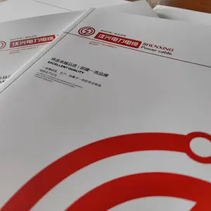 沈阳大东宣传册画册印刷设计