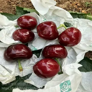 ӣ������������ ����ӣ����۸� ���༼�� ����