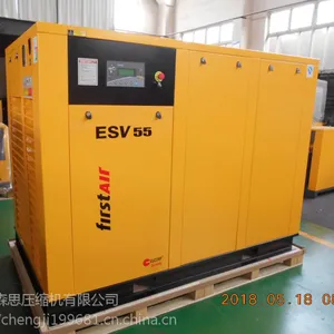 ��Ӧ��ɭ˼ES15T��Ƶ�ݸ˿�ѹ������