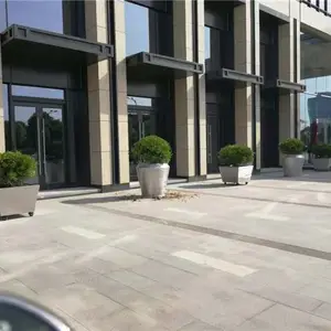 �Ŵ���ֲ���-�人��ֲ����