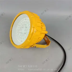 源头工厂发货矿用投光灯 大范围照明矿用投光灯 100W矿用投光灯
