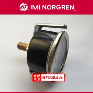 ŵ�� NORGREN ѹ���� 18-015-857 18-013-857