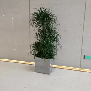 花草种植花坛摆放花卉造景
