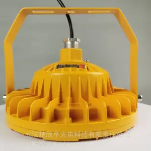 华荣防爆泛光LED灯220V 150W 华荣防爆支架式 活接头（一头外丝）