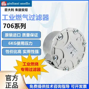 正品朱丽安尼giulian燃气过滤器70631/6B/工业燃烧燃气过滤器阀门