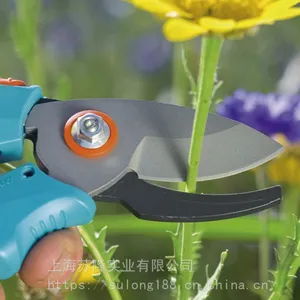 �¹����ڼζ���8754��֦����ͥ԰��԰�չ����̻�������֦����ժ��