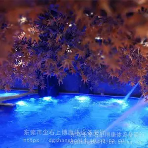 泉州室内恒温游泳池工程 泳池水疗设备工程安装