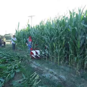 ���������׽ոѷŵ��� �ո�������˻� ���ְ�����ޣ��ɹ��