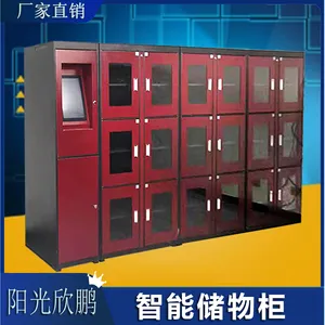 阳光欣鹏 LW-DJ-18智能随身物品柜 物证保管柜