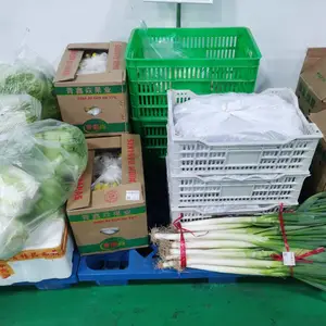 西安送菜的公司,西安学校幼儿园食堂蔬菜配送公司