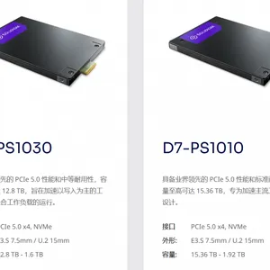 思得Solidigm PS1010 PS1030系列 PCI-E5.0 U.2企业级固态硬盘