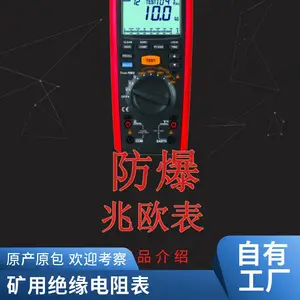 WB08本安型防爆绝缘电阻测试仪 防爆兆欧表 防爆绝缘电阻表