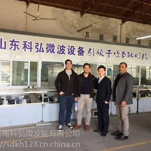 山东济南大型隧道式微波黑水虻烘干设备