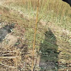 �����й����һ�С����� �������һ���������