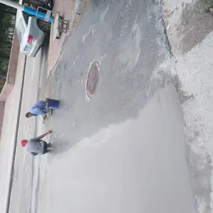 �޲��϶���Ǯһ�� ɽ����ɭ�޲��ϳ���ֱ��