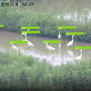 Play Ӣ������AI�ǻ�����۲� AI����ʶ����Ⱥʶ��ϵͳ