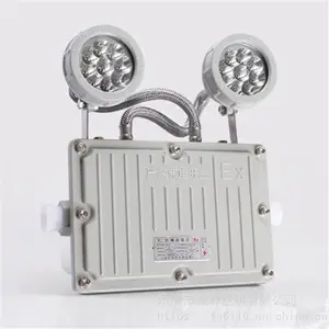 �������� M-ZFZD-E������ 6W˫ͷ����Ӧ���� �����ȵ�������