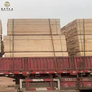 ������ľľ��ľ������Ŀľ��