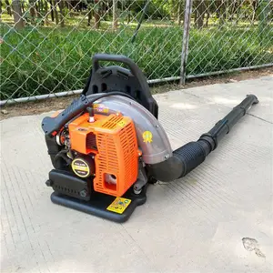 �������ʹ�ѩ�� ԰���̻�����Ҷ�� ����·����촵���