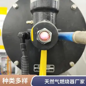 岱鼎燃烧铝带加热炉回转窑焦炉煤气天然气烧嘴燃烧器源头厂家