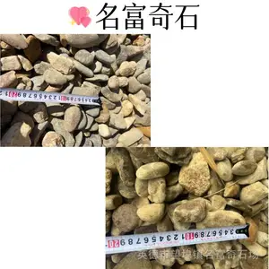 广东珠海自来水清洗河卵石 珠海绿化带鹅卵石工程 珠海电力用鹅卵石