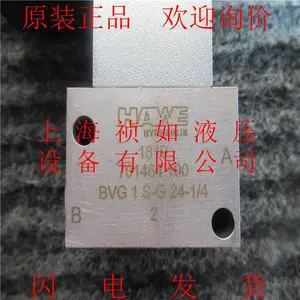 �¹�ԭװ����Hawe��ŷ�BVG1S-G24-1/4��ֹʽ���򷧽�������ѯ��