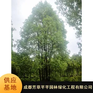 ȫ��������_18���ִ���������_��ľ�ͺ������������繩Ӧ