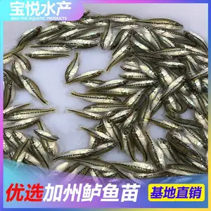 ����֣�ݳɻ�***��������������� ���ޱ�ʯ�����������ɹ�