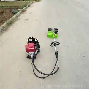 С�ͱ���ʽ��ݳ��ݻ� �������͸��� �ַ���