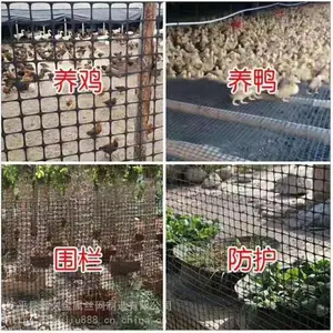 ���������ܻ�������Ȧ����������ũ����ֳ��
