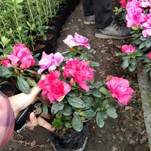 ��Ʒ�������ۣ����õ�����飬�����õı���ʱ�ž�