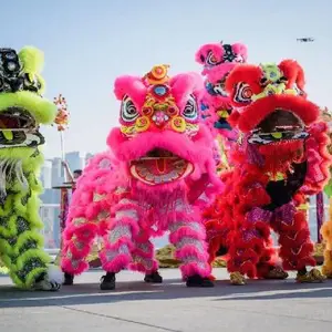 蓝田舞狮演出开业庆典讲台刀旗租赁