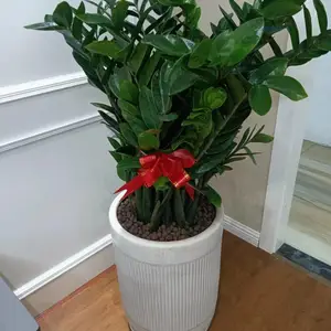 ����������ֲ���� ���� ���� �һ��԰��