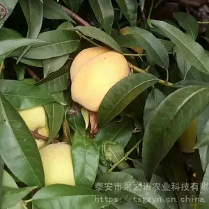 ��Ʒ�������磺���������硢���������綨������