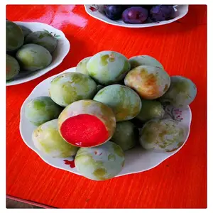 �Ͳ������������ ������������ 5�����������繩Ӧ
