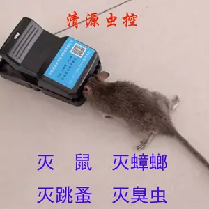 ��Դ���С�����������β���������������