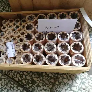 С������ʽ�������������� ���� YT28���һ�עˮ��