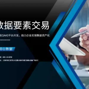 数据资产确权评估方案 欢迎咨询 上海羽山科技供应