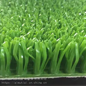 �����ս�� �ӵ��Խ�ճ��� �������ѡճ��̺ ɳ��ѡ��ճ�����