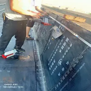����������ˮ��© �����ˮʩ�� ��ˮά�� ע����©������0.1mm΢�ѷ��޸���